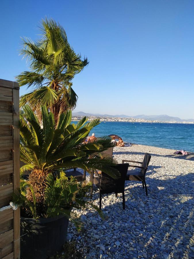 Studio Rez De Jardin Marina Baie Des Anges Villeneuve-Loubet Exteriér fotografie