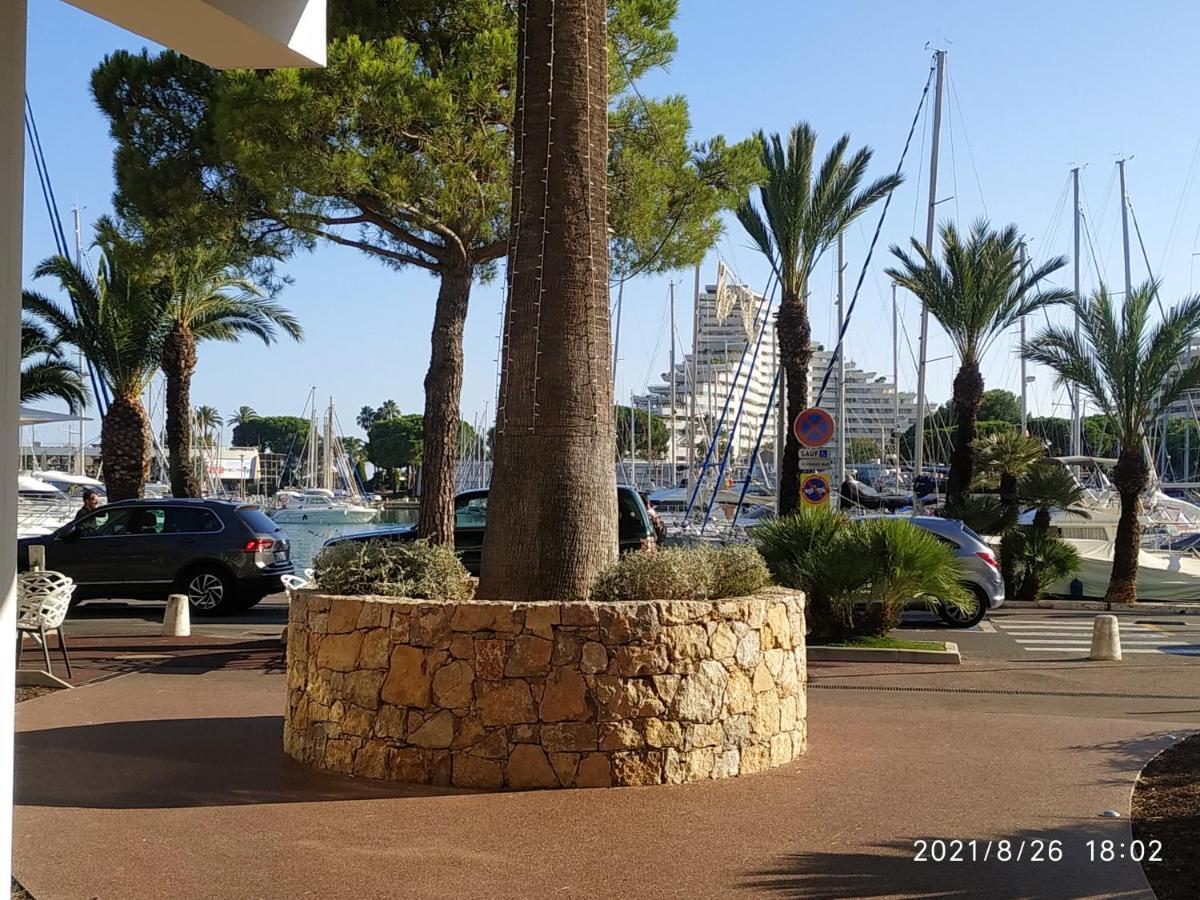 Studio Rez De Jardin Marina Baie Des Anges Villeneuve-Loubet Exteriér fotografie